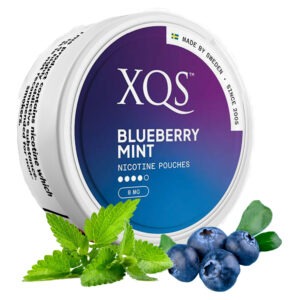 XQS Blueberry Mint