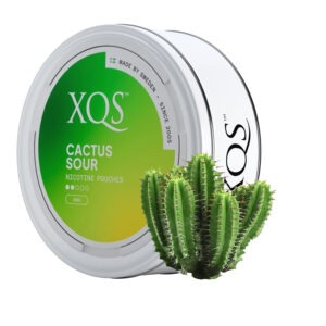 XQS Cactus Sour nicotine pouches